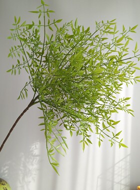仿真植物软胶南天竹 天葵竹 新中式家居酒店样板间装饰 摄影婚庆