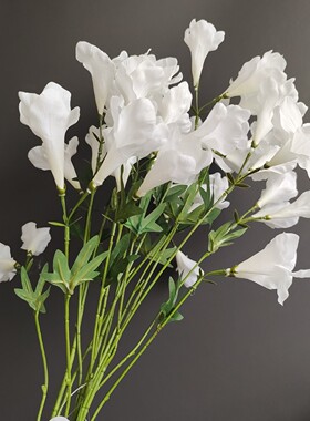 仿真绉布龙胆花吊钟花百子莲家居样板间婚庆设计装饰拍照道具假花