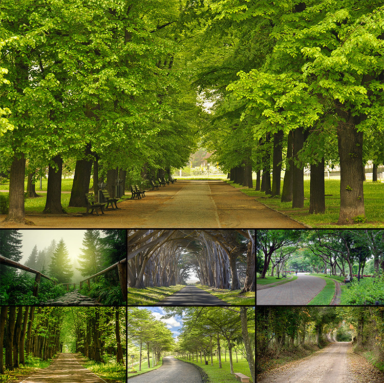 绿色树林林荫小道风景画背景墙纸装饰画高清图片素材