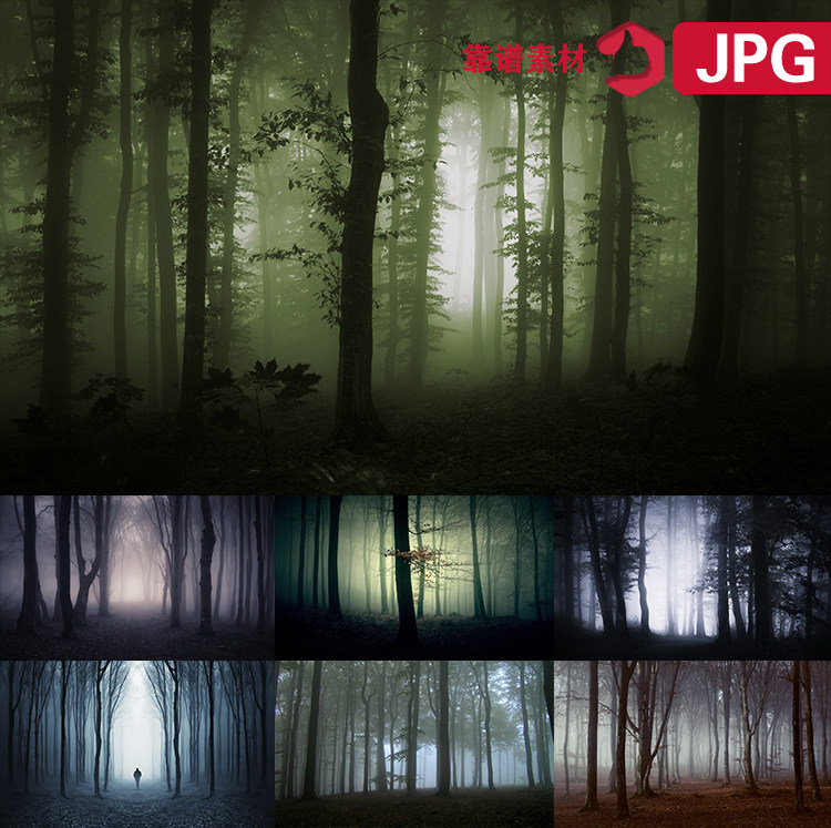 傍晚夜晚夜色暗黑森林树林丛林风景高清jpg图片素材