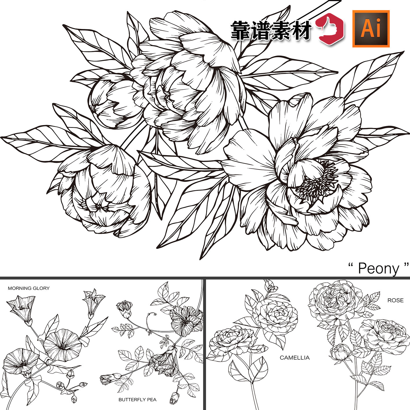 牡丹花月季花黑白线条线描花朵花卉植物AI矢量设计素材