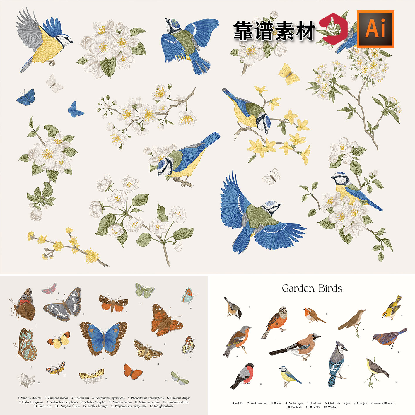 美丽的花园精美复古花鸟蝴蝶植物雨林手绘素描插画AI矢量设计素材