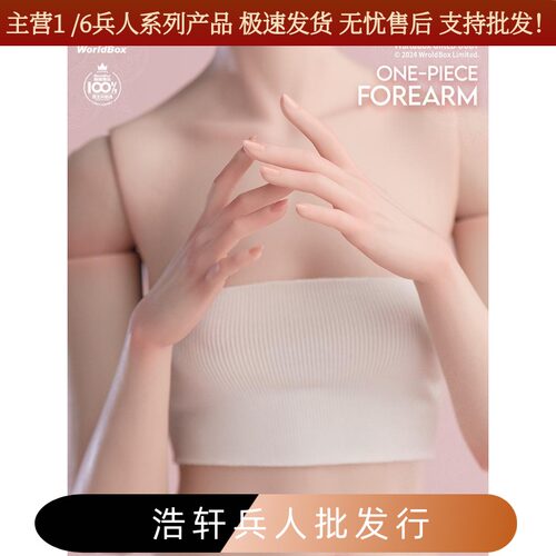 Worldbox1/6女素体一体臂