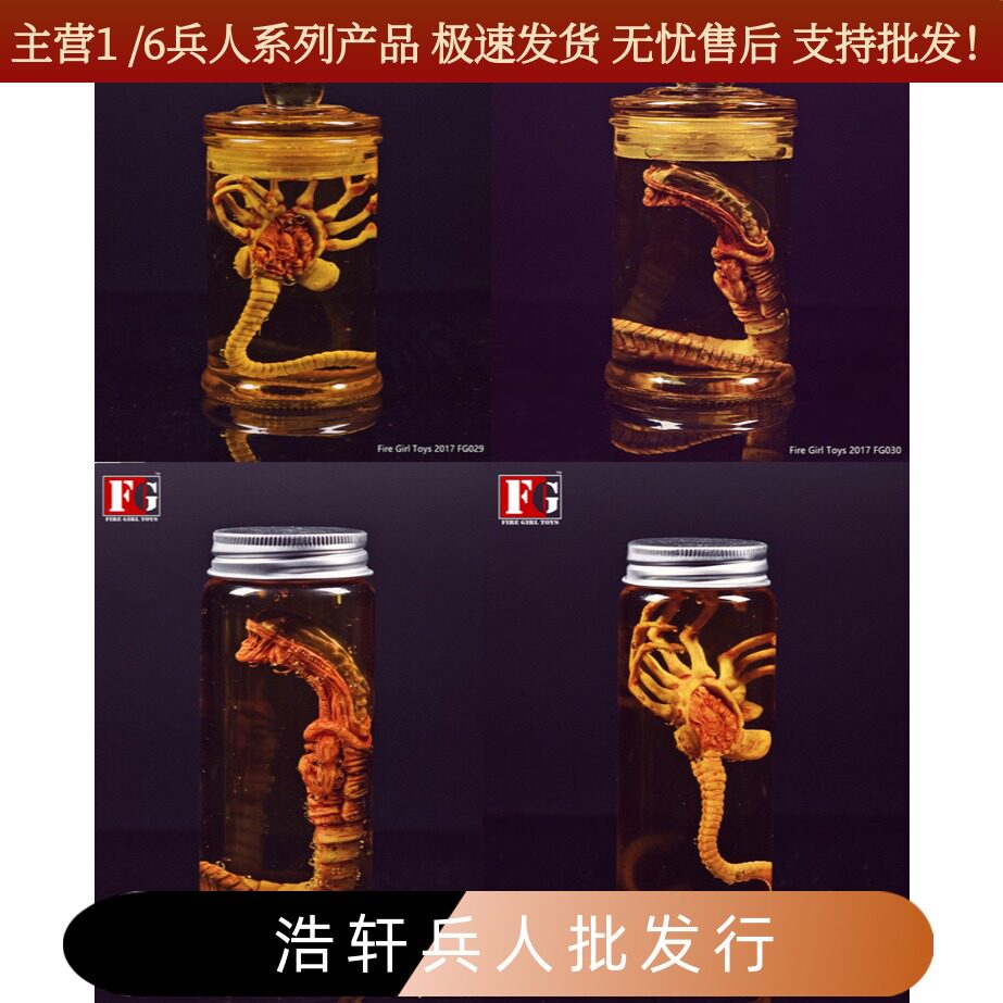 现货Fire Girl Toys 1/6铁血战士异形契约 幼虫 扒脸虫培养罐道具