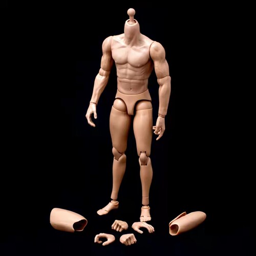 现货1/6兵人男肌肉素体模型