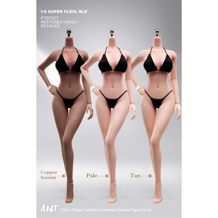 ANT 1/6/12 T302/303/305/306/AB001/T307超可动钢骨包胶女素体
