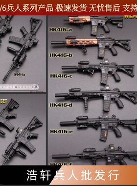 1/6缩小比例HK416枪模型