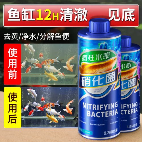 疯狂水草硝化菌除白雾净水剂
