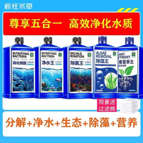 疯狂水草消化细菌鱼缸用净水稳定剂养鱼净化分解鱼粪高级感清水剂