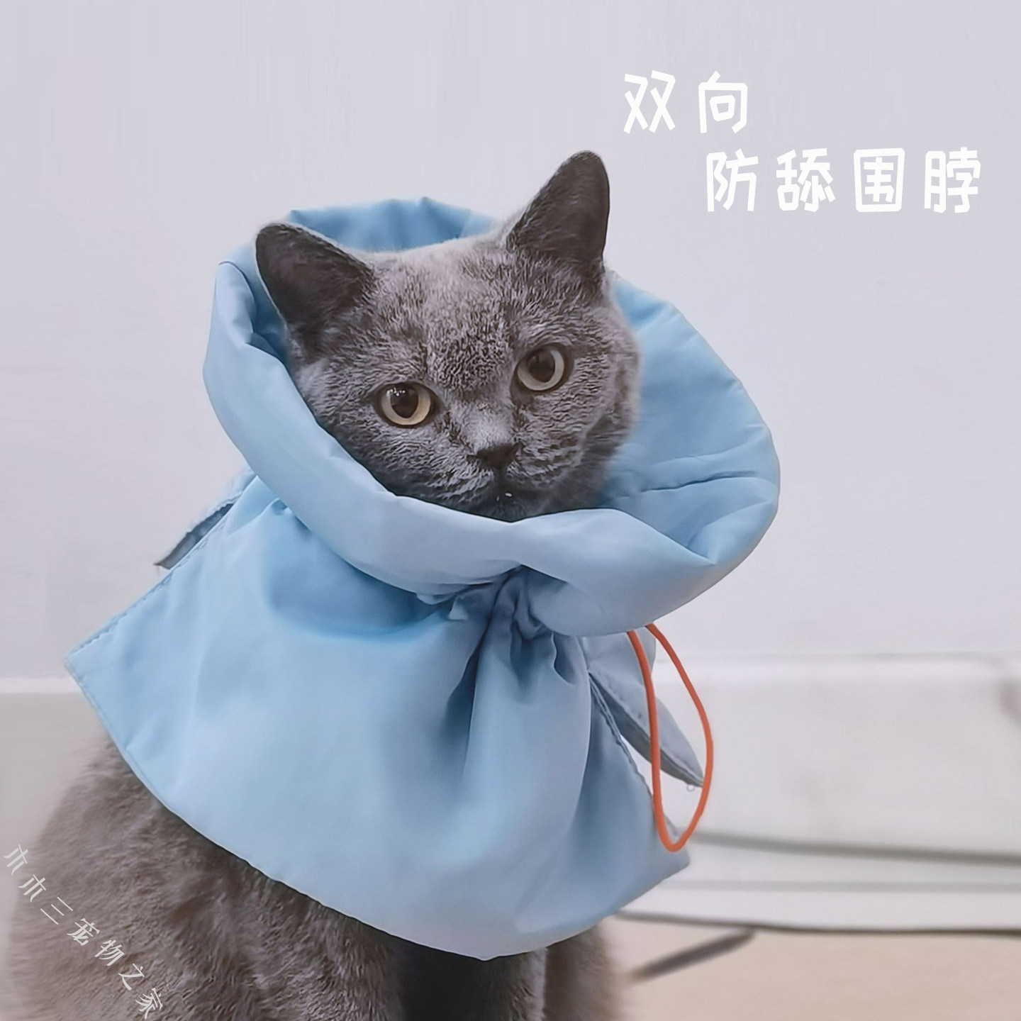 伊丽莎白圈猫咪小型犬英短泰迪绝育项圈狗狗防抓舔围巾脖圈猫头套