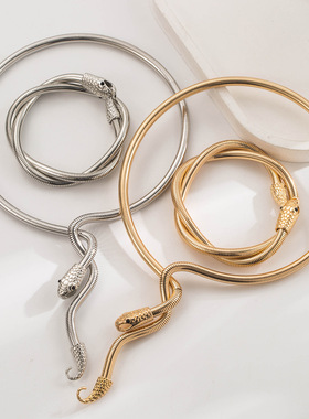 和鸣新款时尚大气夸张高级感项链手环套装女高级感蛇形金属感饰品