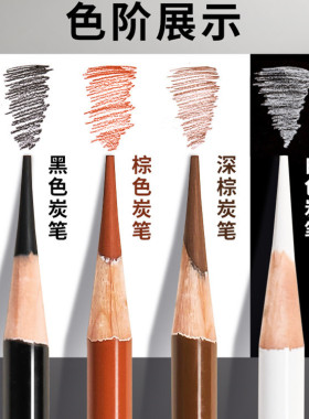 尼奥尼彩色画画素描美术生专用白色黑色棕色咖啡速写绘画碳笔