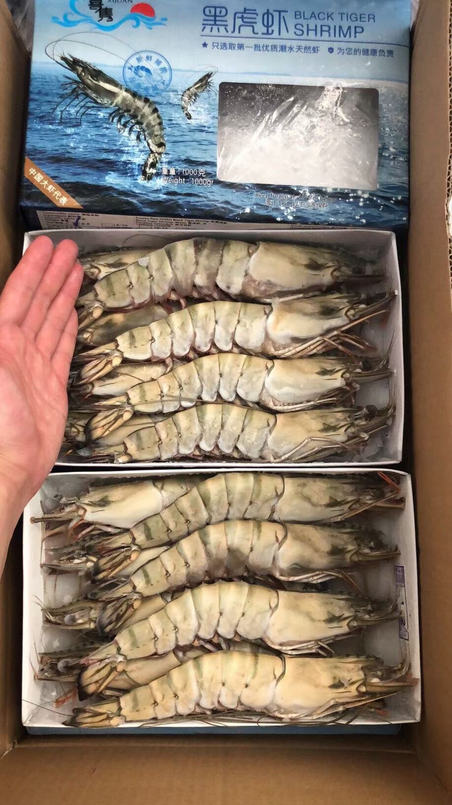 大黑虎虾 大虾草虾青明虾8头800g*10盒1650元