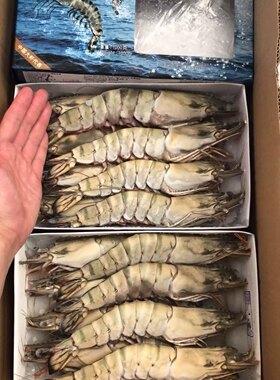 大黑虎虾 大虾草虾青明虾8头800g*10盒1650元