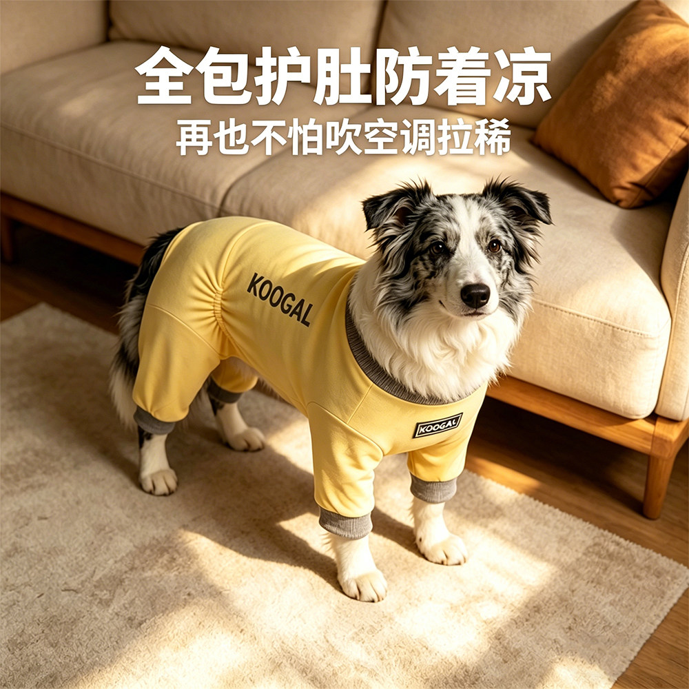 狗狗衣服四脚护肚纯棉抗菌防掉毛