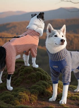 狗狗衣服秋冬四脚衣包肚防掉毛
