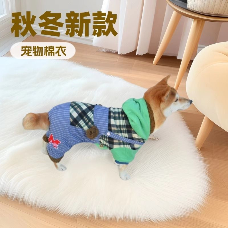 秋冬新款帅气宠物棉衣狗服装狗棉衣浣熊泰迪吉娃娃狗狗超萌衣服