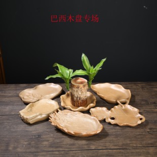 巴西木幸运木绿植水培苔藓陶瓷办公室桌面粗陶专用拖盘创意接水盘