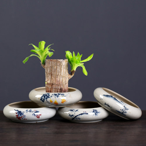 粗陶复古巴西木苔藓球专用盘