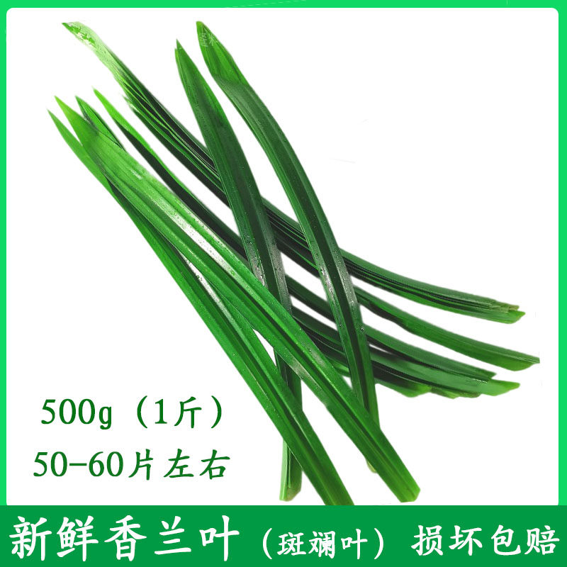 新鲜香兰叶500g斑斓叶班兰千层糕椰汁西米糕泰式芒果糯米饭原材料