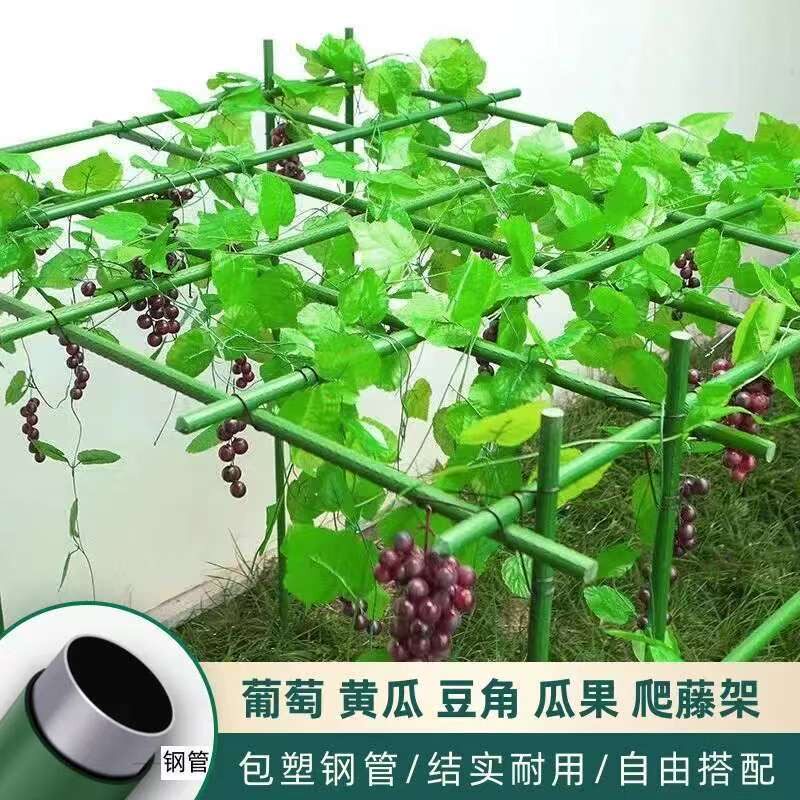 50根爬藤架包塑钢管黄瓜豆角番茄葡萄庭院室内农用花卉果蔬支撑架