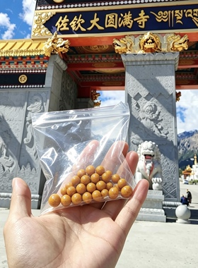 佐钦s(竹庆寺）佐钦贝玛日布（莲师甘路丸）