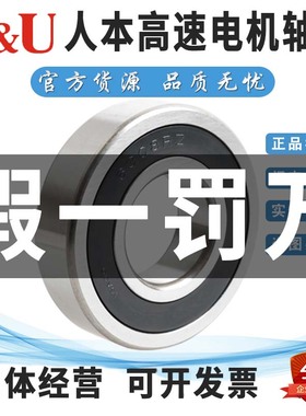人本高速轴承大全6308 6309 6310 6311 6312 6313 6314 6315RZ RS
