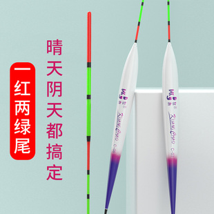 红绿尾鱼漂高灵敏度超醒目阴天尾浮漂鲫鱼罗非专用站漂罗飞立漂