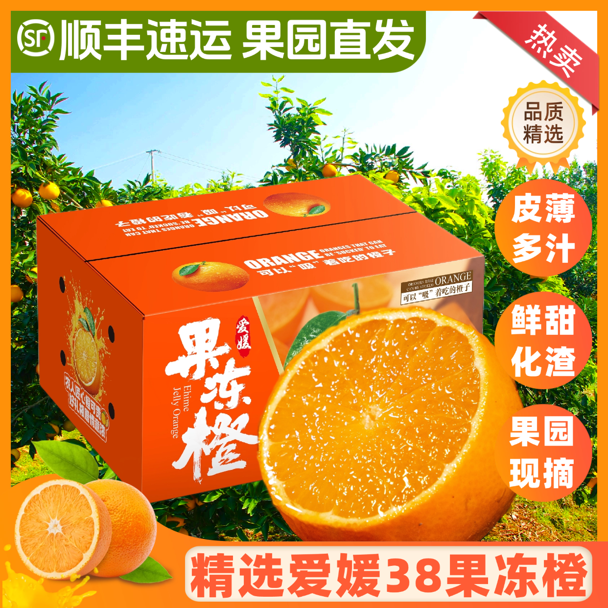 高回购高品质爱媛38果冻橙现摘橙