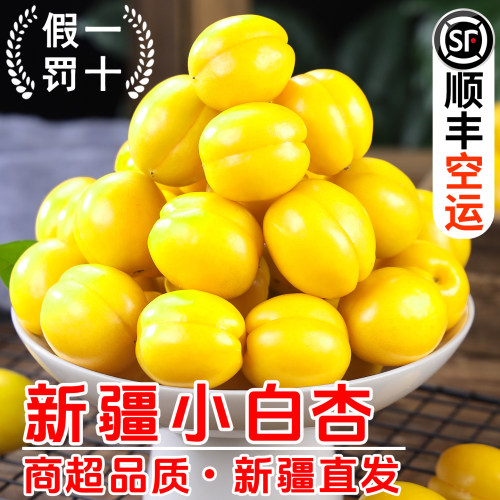 【官方推荐】新疆小白杏|现摘|