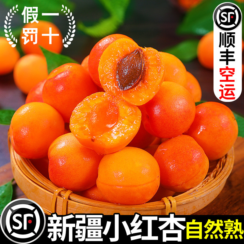 新疆小红杏新鲜轮台杏子甜杏库车红杏子新疆特产水果当季整箱顺丰