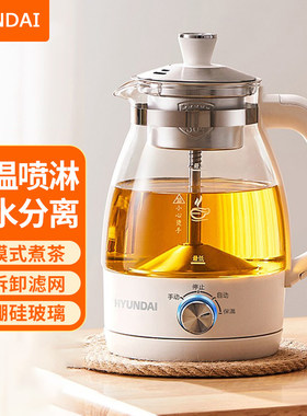 韩国hyundai煮茶器养生壶