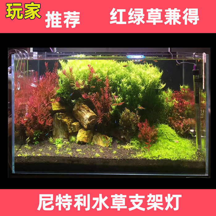 quality goods Nite Li PRO Aquatic herb LED Bracket Light tube TDP major Spectrum Aquarium AT1AT2AT3in the Pet/Pet food and supplies , Aqua World , Aquarium fish tanks and other equipment , Lighting Equipment  category - from Buy2taobao.com to provide professional Taobao agent buy service