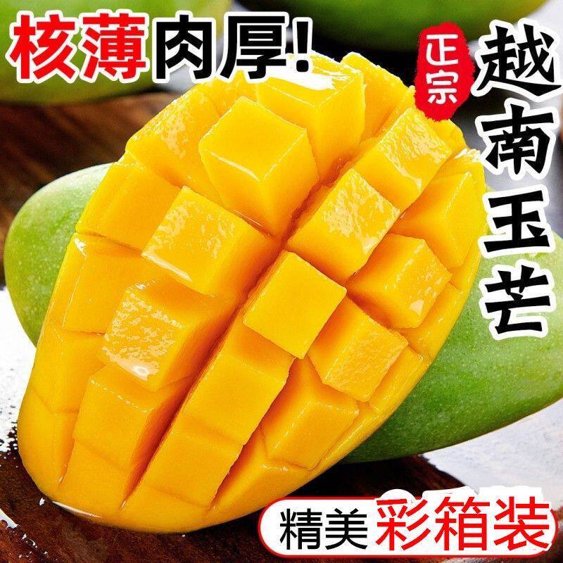 正宗越南玉芒果脆芒果薄皮肉厚新鲜水果热带青皮玉芒大芒果应当季