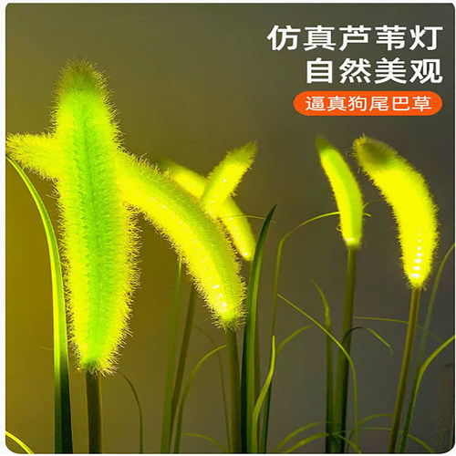 中桓照明草坪灯狗尾巴草插地灯