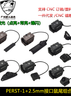 泽宁特PERST-1镭射指示器绿激光金属可调下挂镭射2.5mm线控鼠尾