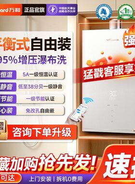 万和JSG30-16V9G TURBO增压平衡式燃气热水器5A一级恒温节能静音