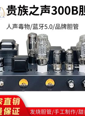 港新300B胆机套件成品内置蓝牙