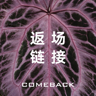 活性植物/ 小克莱恩的返场链接 物拍+组盒 天南星科室内热植花烛