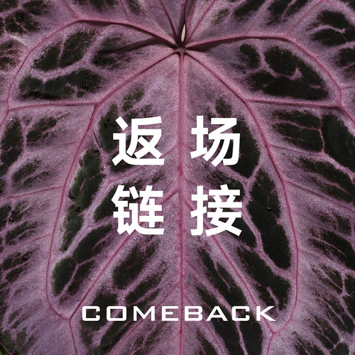 活性植物/ 小克莱恩的返场链接 物拍+组盒 天南星科室内热植花烛