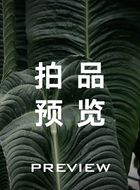 【直播菜单顺序表】【拍卖清单】室内观叶花烛