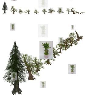 Sketchup现代景观植物松树造形绿植杉树造形松树草图大师su模型