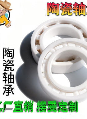 国产316 304 不锈钢氧化锆标准件全陶瓷耐腐蚀酸碱S6000CE10*26*8