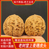 大尺寸老树麦穗虎头堂上虎头一物一图文玩核桃全品无修精品手把件