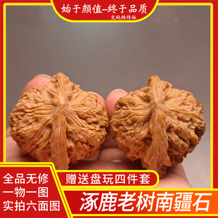 一物一图文玩核桃涿鹿老树南疆石狮子头全品无修送礼佳品精品收藏