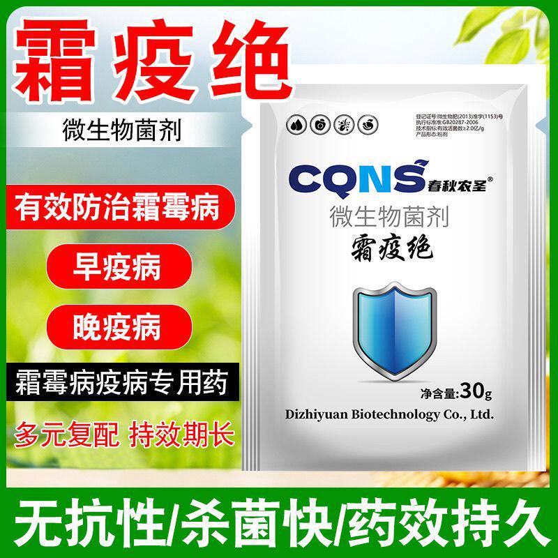霜疫绝霜霉灰霉早晚疫克星微生物菌剂安全无抗性持久有效粉剂专用