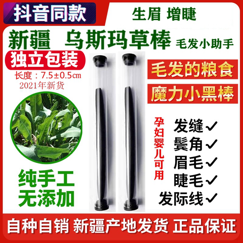 新疆草粉发际线睫毛草棒小黑