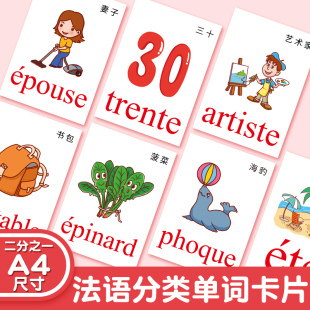 法语单词学习塑封大卡生活分类早教词汇卡片颜色时间学校教具卡片