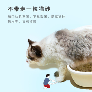 Honeycare猫砂除臭无尘结团豆腐砂猫咪用品植物玉米猫沙2.6kg