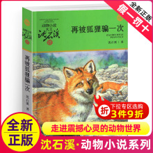 再被狐狸骗一次沈石溪正版小学四年级五年级全集全套书浙江少年儿童出版社非注音版完整版动物小说大王品藏书系课外阅读经典书